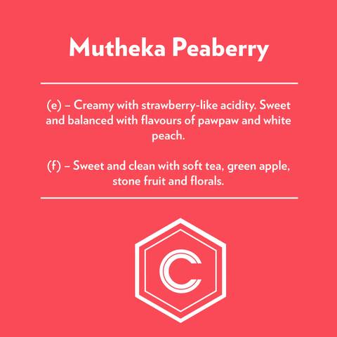 Mutheka Peaberry